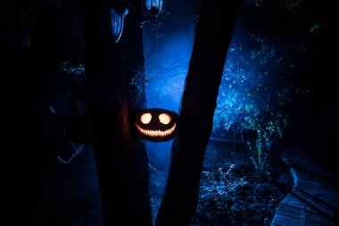 Balkabağı Orman 'da Gece Yanar. Korkunç Jack o Lantern gülümseyen ve sisli arka planda parlayan balkabağı. Seçici odak