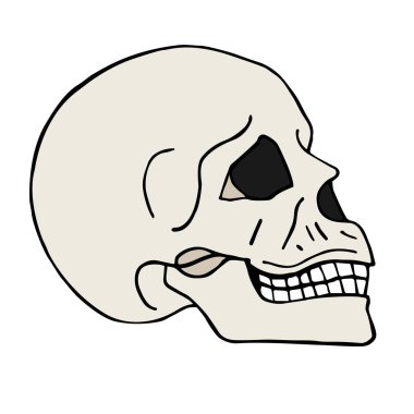 Gri kafatası. vektör illüstrasyonu