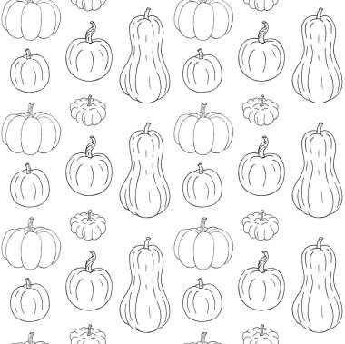 Siyah balkabakları. vektör illüstrasyonu