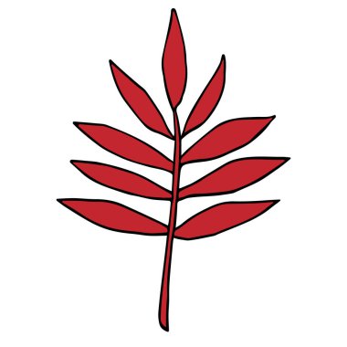 Kırmızı yaprak. vektör illüstrasyonu