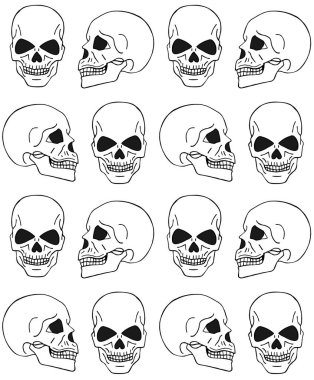 El çiziminin kusursuz şekli beyaz arkaplanda izole edilmiş insan kafatasları çiz