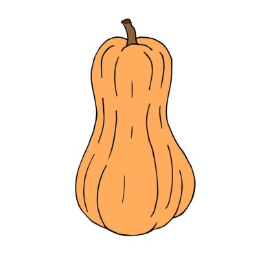 Vektör eli çizilmiş karalama çizimi renkli balkabağı