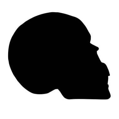 Beyaz arkaplanda izole edilmiş insan kafatası silueti çizilmiş.