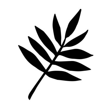 Vektör el çizimi beyaz arkaplanda izole edilmiş çizim yaprak silueti