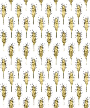 El çiziminin vektörsüz deseni beyaz arkaplanda izole edilmiş renkli buğday filizi çizimi