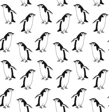 El çiziminin kusursuz çizimi. Beyaz arkaplanda izole edilmiş renkli penguen çizimi.