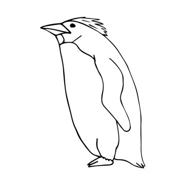 Vektör el çizimi beyaz arkaplanda izole edilmiş penguen çizimi
