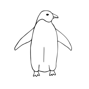 Vektör el çizimi beyaz arkaplanda izole edilmiş penguen çizimi
