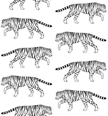 El çiziminin kusursuz çizimi. Beyaz arka planda izole edilmiş kaplan çizimi.