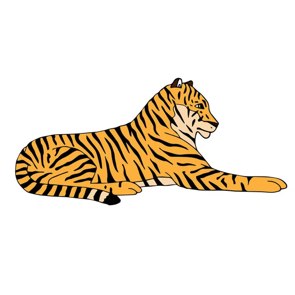 Vektor Hand gezeichnet farbig liegender Tiger — Stockvektor