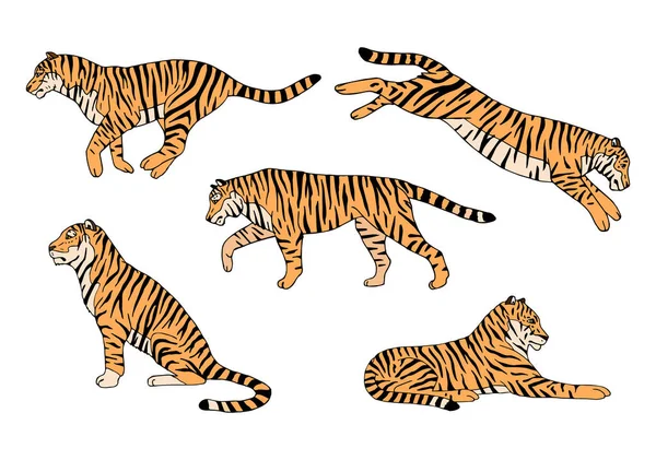 Vektorová Sada Ručně Kreslených Čmáranice Barevné Tygry Izolované Bílém Pozadí — Stockový vektor