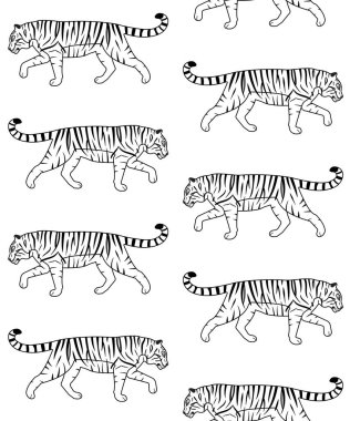 Beyaz arka planda izole edilmiş düz el çizgili kaplanın vektörsüz deseni