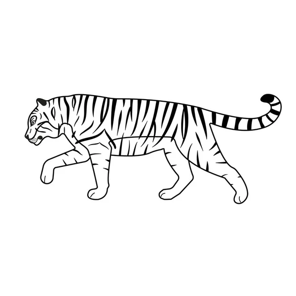 Vector Flat Hand Drawn Outline Tiger Isolated White Background — Stock Vector