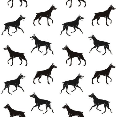 Siyah dobermanların kusursuz desenleri.