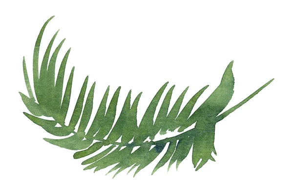 Aquarel palmbladeren. Handgeschilderde illustratie — Stockfoto