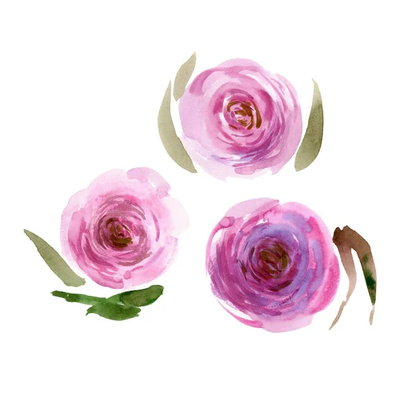 Acuarela rosas rosadas. Ilustración pintada a mano —  Fotos de Stock