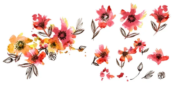 Akvarell blommiga element för utformning av gratulationskort, inbjudningar — Stockfoto