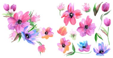 Tebrik kartı ve davetiye tasarımı için suluboya elementler