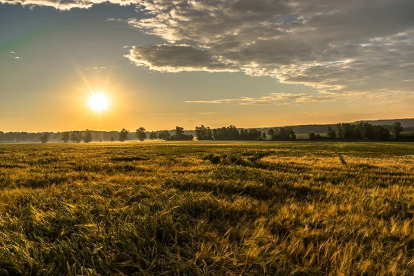パノラマ 農業作物と夕焼け空の風景 — ストック写真