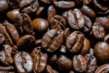 Taze kavrulmuş kahve çekirdekleri.
