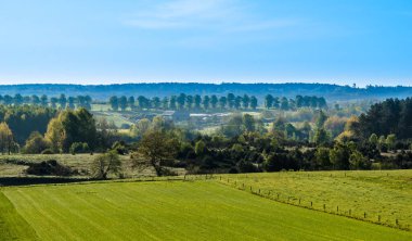 Kır manzarası. Polonya 'da yeşil tarlalar ve otlaklar..