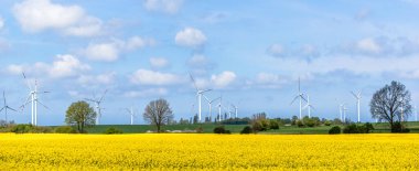 Yel değirmeni enerjisi. Kolza tohumu ve panorama alanında rüzgar türbinleri.