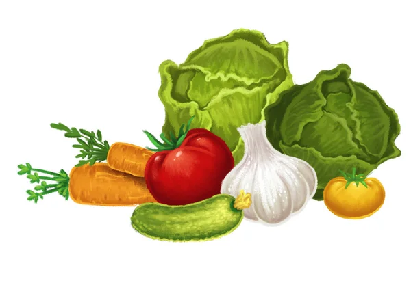 手绘彩绘 图解黄色西红柿 胡萝卜 绿色卷心菜 黄色和红色西红柿 从白色背景分离出来的蔬菜 — 图库照片