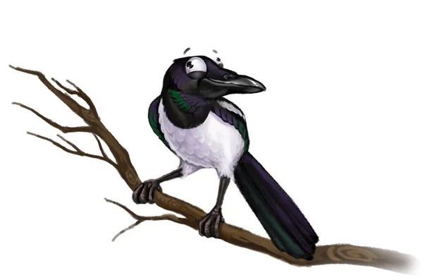 Pájaro Urraca Blanco Negro Sentado Ramificación Dibujos Animados Divertido Pájaro — Foto de Stock