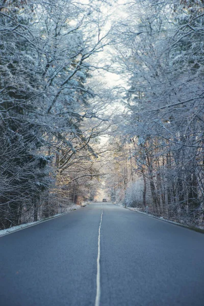 Voiture sur la route parmi les arbres dans la forêt couverte de neige en hiver matin givré. — Photo