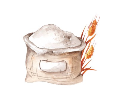 Beyaz arka planda izole edilmiş un ve buğday kulaklı bir poşetin suluboya çizimi. Tarım, fırın. Çevre dostu üretim.