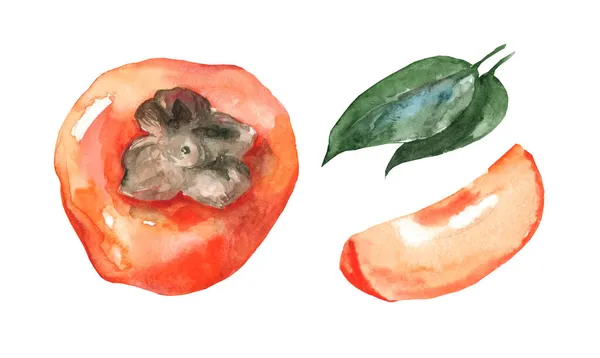 Handritad Akvarell Målning Vit Bakgrund Persimon Frukt Illustration Persimon Skiva — Stockfoto