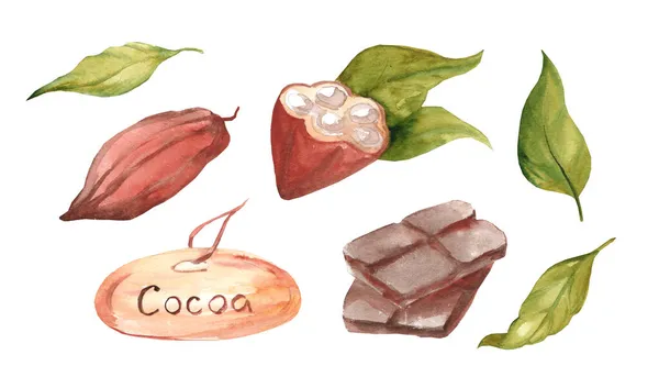 Conjunto Ilustraciones Acuarela Granos Cacao Hojas Cacao Chocolate Negro Plato — Foto de Stock