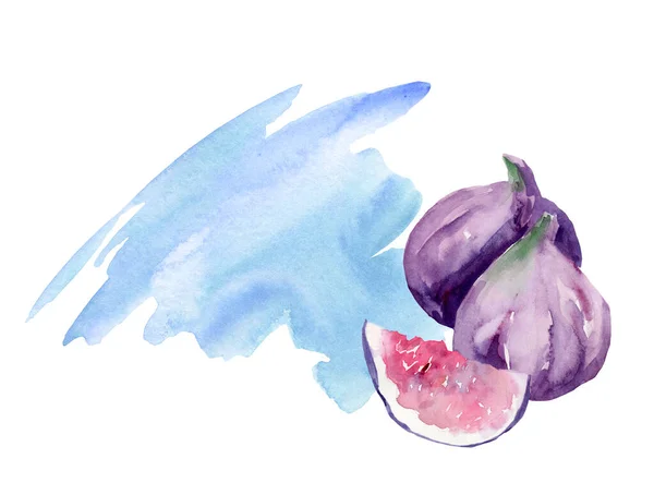 Fig Illustrazione Acquerello Isolata Sfondo Bianco Cibo Sano Bacche Vitamine — Foto Stock