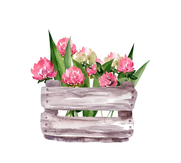 花と木の箱の水彩画のイラスト ピンクの野の花 クローバー バレンタインデー 3月8日聖パトリックの日 — ストック写真