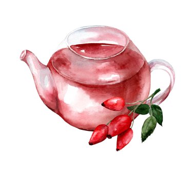 Beyaz arka planda izole edilmiş çaydanlıklı cam çaydanlık. Suluboya el çizimi çizimi. Yeşil, siyah, bitkisel ve gül çayı.