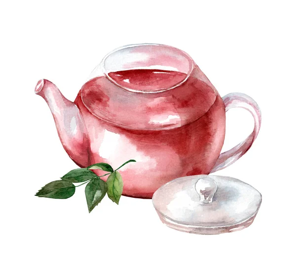 Стеклянный Чайник Чаем Изолированы Белом Фоне Ручной Рисунок Акварелью Зеленый — стоковое фото