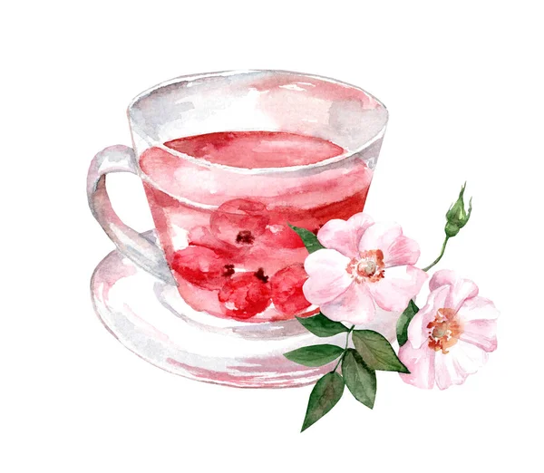 玻璃杯加白底茶 水彩画手绘插图 香草茶和玫瑰茶 图库照片
