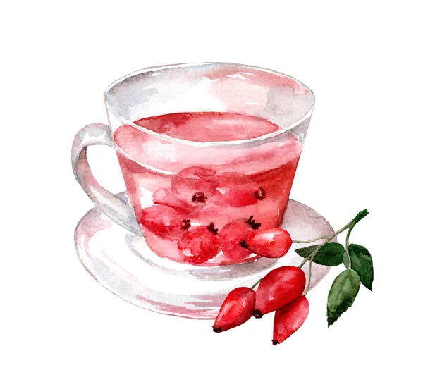 玻璃杯加白底茶 水彩画手绘插图 香草茶和玫瑰茶 图库图片