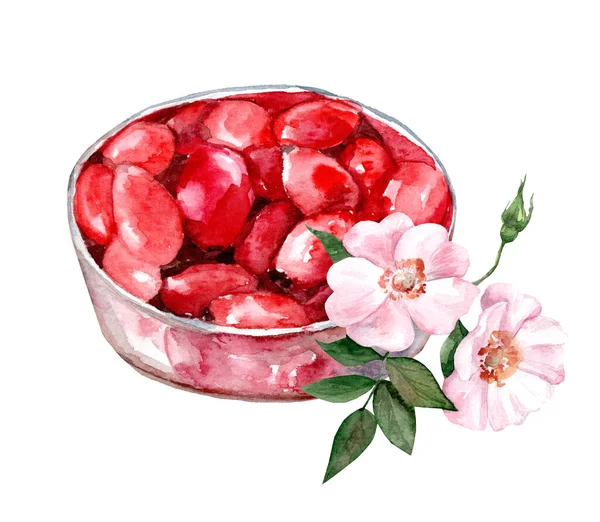 白色背景上有玫瑰色臀部的玻璃板 水彩画手绘插图 蔷薇叶 图库图片