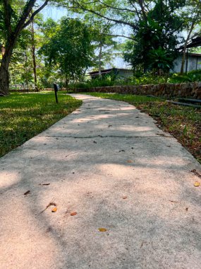 close up long curve cement pathway in the forest 