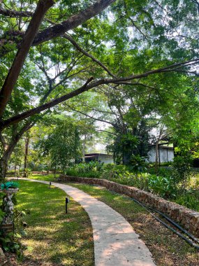 long curve cement pathway in the green forest for walking