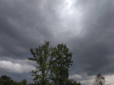 Yaz mavisi gökyüzü bulutu gradyan açık beyaz zemin. Güneşin altında açık bulutlu bir güzellik sakin bir kış havası. Çevresel gündüz ufuk çizgisinde kasvetli, canlı Cyan manzarası ufuk çizgisi bahar rüzgarı