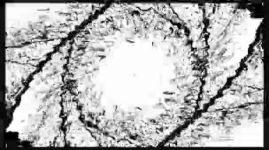 Beyaz bir tuvalde siyah ve beyaz çizgilerden oluşan soyut psikedelik bir arkaplan. Operasyon sanatı, trans hali ve bilinç değişimi. Modern tasarım, grafik dokusu.