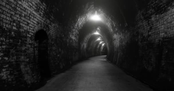 Dark Tunnel Brick Walls — Video Stock