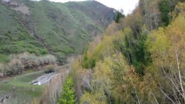 Nehir ve dağ ile manzara