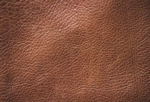 Brown Leather Texture Background Genuine Leather Texture Background Dark Brown — Stock Photo, Image