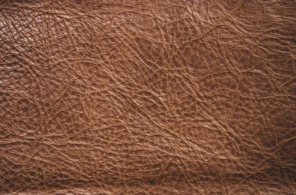 Fond Texture Cuir Marron Fond Texture Cuir Véritable Textures Brun — Photo