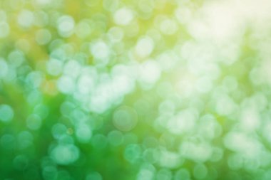 Arkaplan için soyut bulanık yeşil renk, sağlık bahçesinde bulanık yapraklar ve beyaz baloncuk odak dokusu.