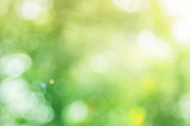 Arkaplan için soyut bulanık yeşil renk, sağlık bahçesinde bulanık yapraklar ve beyaz baloncuk odak dokusu.