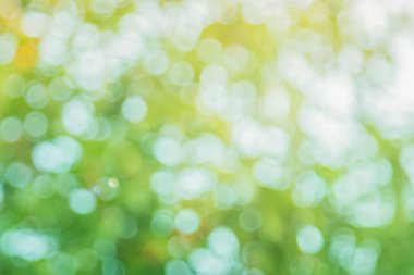 Arkaplan için soyut bulanık yeşil renk, sağlık bahçesinde bulanık yapraklar ve beyaz baloncuk odak dokusu.